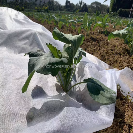 Factory Wholesale Good Plank True Wood Flooring Fabric D